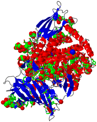 Image Asym./Biol. Unit - sites