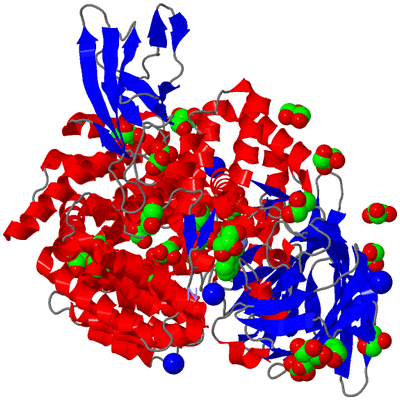 Image Asym./Biol. Unit