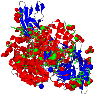 Image Asym./Biol. Unit - sites