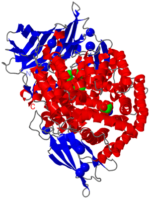 Image Asym./Biol. Unit