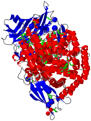 Image Asym./Biol. Unit - sites