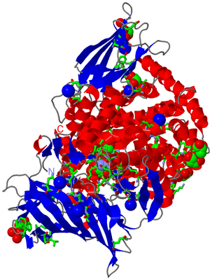 Image Asym./Biol. Unit - sites