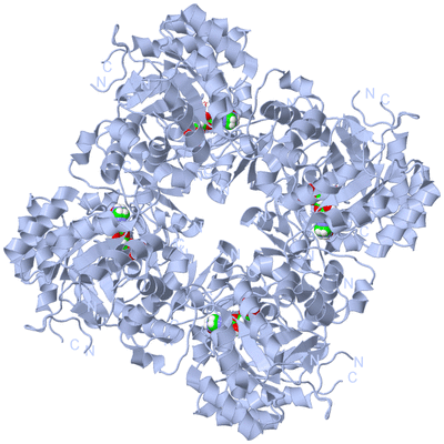 Image Biological Unit 1