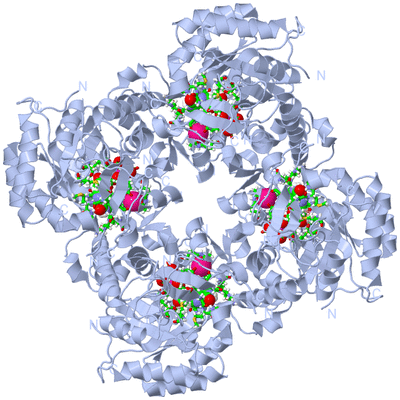 Image Biol. Unit 1 - sites