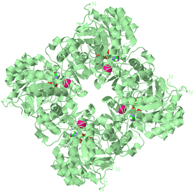 Image Biological Unit 2