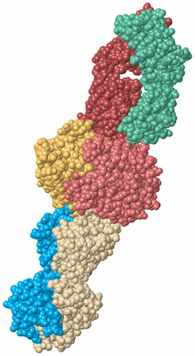 Image Biological Unit 2