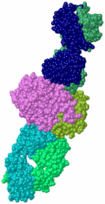 Image Biological Unit 3