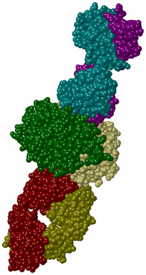 Image Biological Unit 4