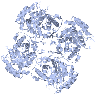 Image Biological Unit 1