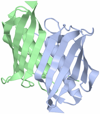 Image Asymmetric Unit