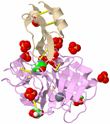 Image Asym./Biol. Unit