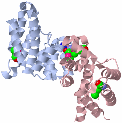 Image Biological Unit 1