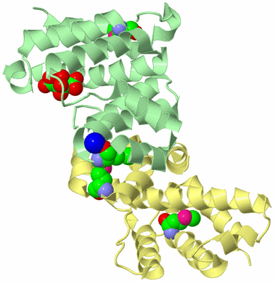 Image Biological Unit 2