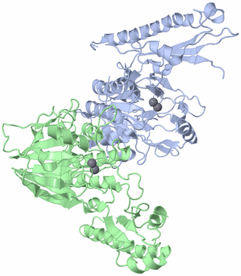 Image Asym./Biol. Unit