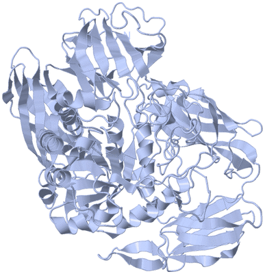 Image Biological Unit 1