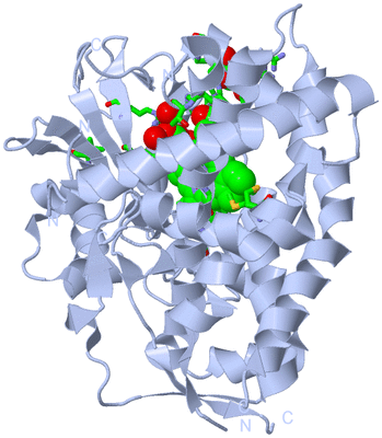 Image Biol. Unit 1 - sites