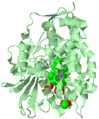 Image Biological Unit 2