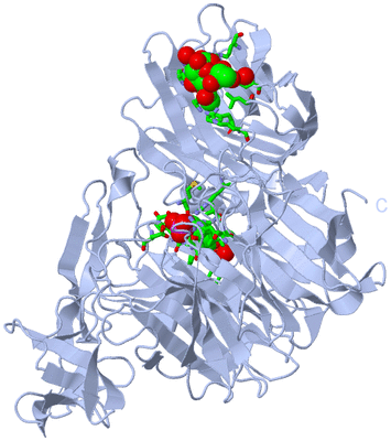 Image Biol. Unit 1 - sites