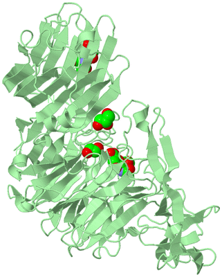 Image Biological Unit 2