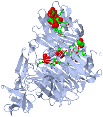 Image Biol. Unit 1 - sites