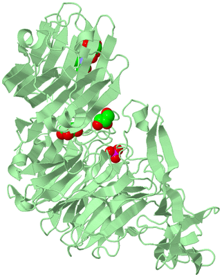 Image Biological Unit 2