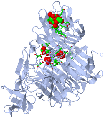 Image Biol. Unit 1 - sites