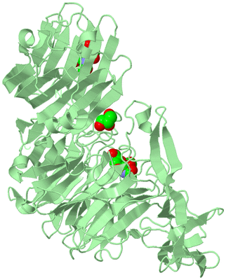 Image Biological Unit 2