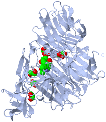 Image Biological Unit 1