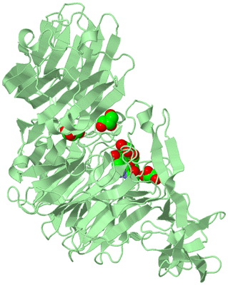 Image Biological Unit 2