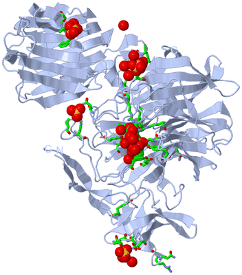 Image Biol. Unit 1 - sites