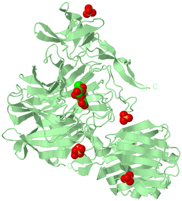 Image Biological Unit 2