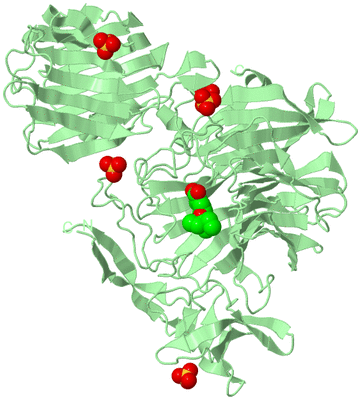 Image Biological Unit 2