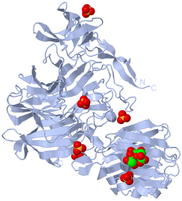 Image Biological Unit 1