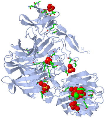 Image Biol. Unit 1 - sites