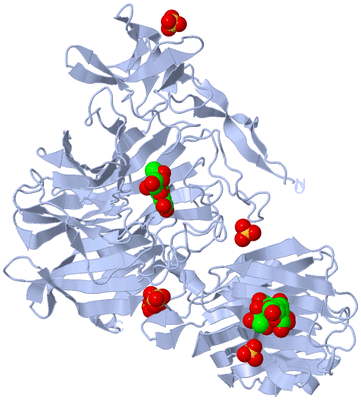 Image Biological Unit 1