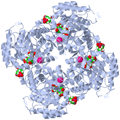 Image Biological Unit 1