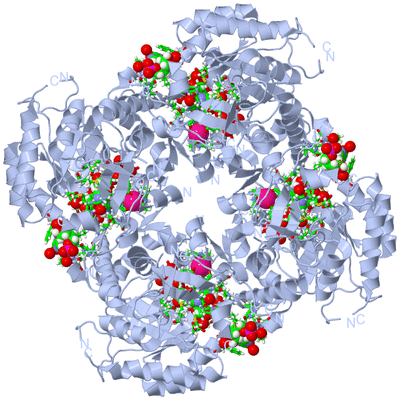 Image Biol. Unit 1 - sites