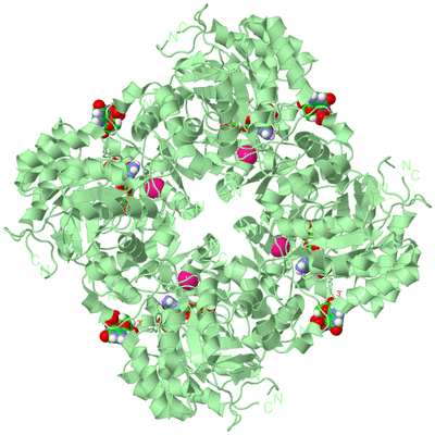 Image Biological Unit 2