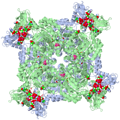 Image Biological Unit 1