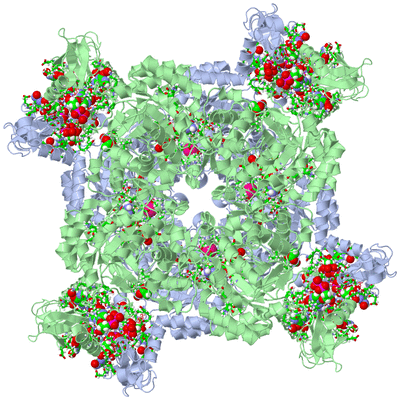 Image Biol. Unit 1 - sites