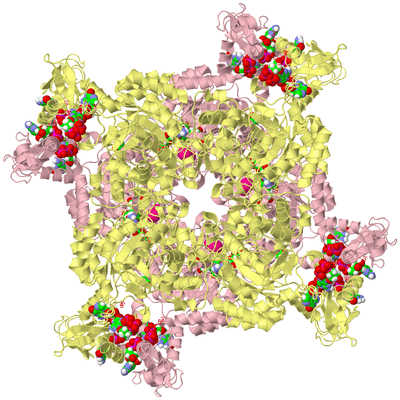 Image Biological Unit 2