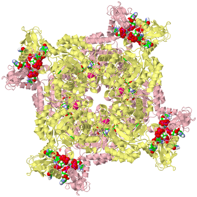 Image Biological Unit 3