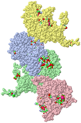 Image Asym. Unit - sites