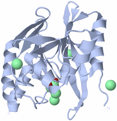 Image Biological Unit 1