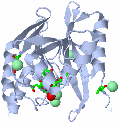 Image Biol. Unit 1 - sites