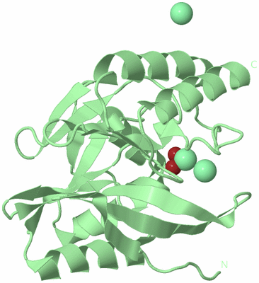 Image Biological Unit 2