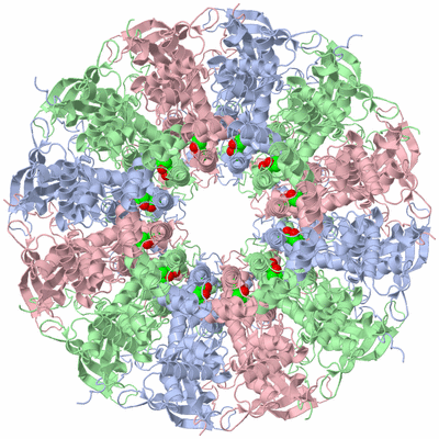 Image Biological Unit 1