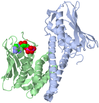 Image Asym./Biol. Unit