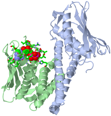 Image Asym./Biol. Unit - sites