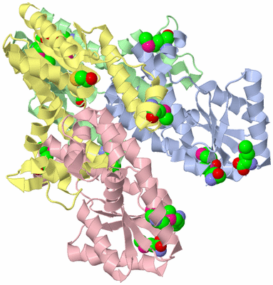 Image Asym./Biol. Unit